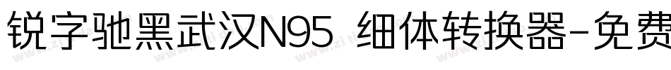 锐字驰黑武汉N95 细体转换器字体转换